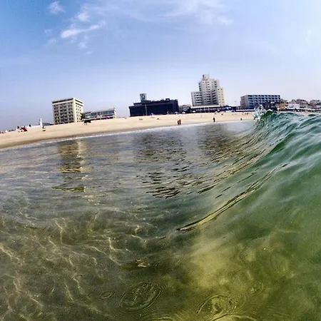 Guest house Watermark Surf House Espinho Espinho (Aveiro)